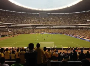 多纳鲁马遭,遇惨败,扑救仅,B体育,B,SPORTS,B体育注册网址,B体育app,B体育官网,B体育网站,B体育下载