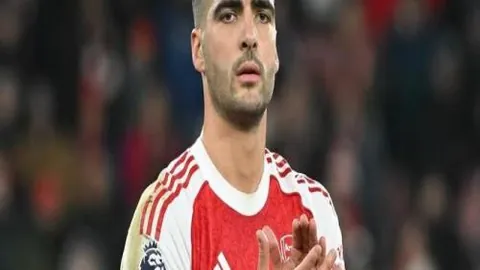 “国际赞誉：中国农业国际合作成效显著，推动全球农业增长更稳固”